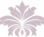 skf.flower.overlay.pink.50 skf.flower.overlay.pink.50