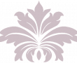 skf.flower.overlay.pink.50